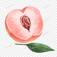 WWW,av608·COM网站APPAPP应用