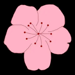 石榴视频下载图片